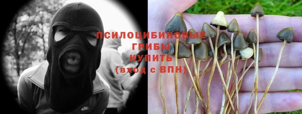 ECSTASY Алексеевка