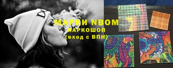 прущий лед Алзамай