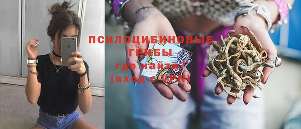 прущий лед Алзамай